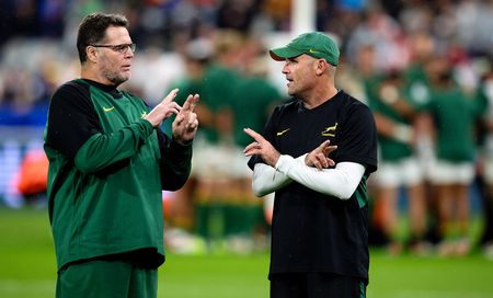 Springboks’ World Cup final result hinges on flyhalf selection and bench split