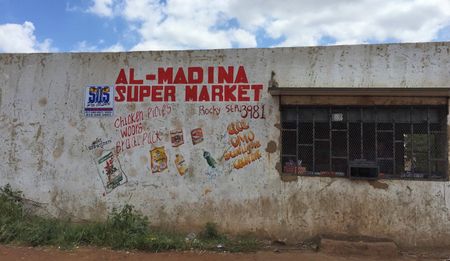 Landscapes painted by xenophobia: Protea South, Soweto