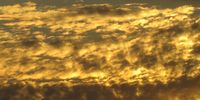 Today's sunset in Norwood, Johannesburg.