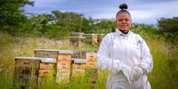 P7 Estelle Beekeeper