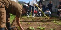 Volunteers work at the food garden at the Gelvandale High School Hostel. (Photo: Deon Ferreira)
