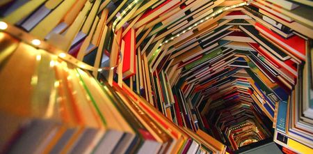 This week — African Youth Human Rights Conference, Nedlac summit, and International Literacy Day