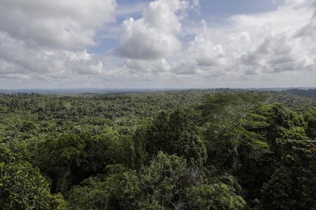 No tsunami threat after earthquake of magnitude 7 strikes Borneo