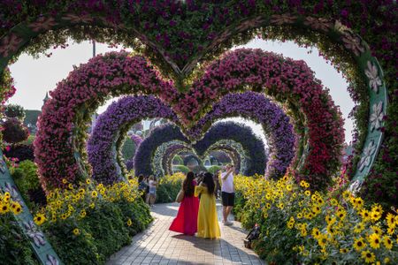 Dubai's 'Miracle Garden' amidst a water scarcity challenge, and more from around the world