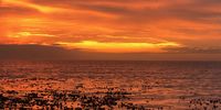 Sea Point Sunset. Image: Lesley Fiona Caplan