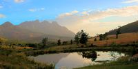 Near Wellington -Western Cape. Image: Dudley Morrissey