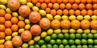 BM-Ed-Citrus/Exports 
