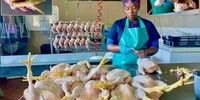 A whizz at processing, Happy Zuma prepares the walkie-talkies, inset top left, and shows the grassy proof of ‘free range’ in a chicken’s stomach, top right. (Photo: Wanda Hennig)<br>