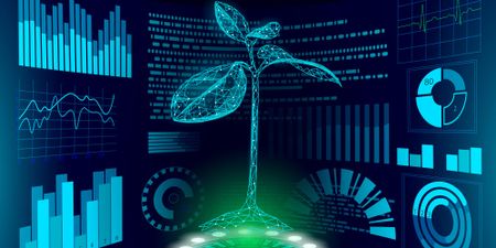 Genetically engineered ‘supertrees’ stoke climate hope — experts caution of likely dangers