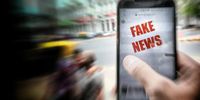 How disinformation networks amplify online xenophobia in SA