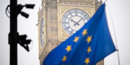 Majority of Britons disappointed by Brexit, according to ECFR poll

