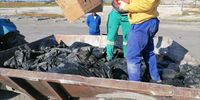 Clean up operations  in Velddrif on the Cape West Coast at the weekend. (Photo: Charles Malherbe)
