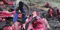 Mashudu Mbengwa cutting meat to take home. ( Photo: Lucas Ledwaba/Mukurukuru Media)