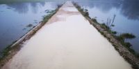 These are my sisters photos taken on her sanity walks early in the morning before work (Thames River, Oxford).  - Tany Alexander 