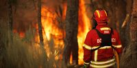 A fireman fights a forest fire in Reboredo village, Vila Pouca de Aguiar, Portugal, 28 July 2022. (Photo: EPA-EFE / PEDRO SARMENTO COSTA)