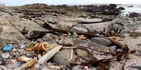 Ending plastic pollution is a human and planetary health imperative