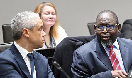 SA almost has a Budget — finance committee adopts fiscal framework, despite MK and EFF rejections