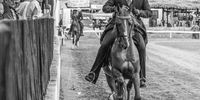 Expert horsemanship on display at the Cradock Agricultural Show.  Photograph by Chris Marais. 