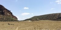 [Warthogs and a zebra at the Hells Gate National Park, Naivasha, Kenya]. Photographer: [Henry Kamau]. 