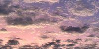 Purple skies on the Zambezi. Image: Nicole Beare
