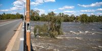 Floodwaters have expanded the Vaal River in Parys, surrounding many trees-including those on islands in the middle-highlighting how much the river has risen in recent days, North West, 30 April 2025. (Photo: Julia Evans)