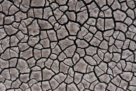 Extreme heat hurts human health. Its effects must be mitigated – urgently