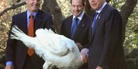 397467 01: US President George W. Bush (R), Jeff Radford (L) and Stuart Proctor, representing the turkey industry, pose with a turkey named "Liberty" at the Annual Pardoning of the Thanksgiving Turkey November 19, 2001 in the Rose Garden at the White House in Washington, DC. (Photo by Mark Wilson/Getty Images)