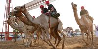 epa09540115 Female participants compete during the first Female Camel Racing Series C1 Championship at Al Marmoom Camel Racing Track in Gulf emirate of Dubai, United Arab Emirate, 22 October 2021. Eight female participants took part in the race, seven of them got a training riding course at the school of Arabian Desert Camel Riding Centre (ADCRC) which is the first of its kind in the region, the first center dedicated to teaching camel riding and especially for women.  EPA-EFE/ALI HAIDER