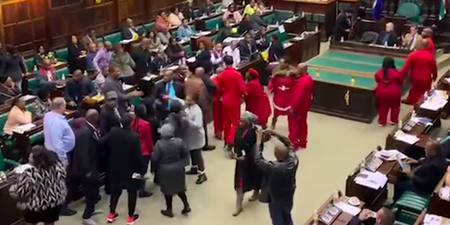 EFF MP apologises for party's conduct in Parliament confrontation