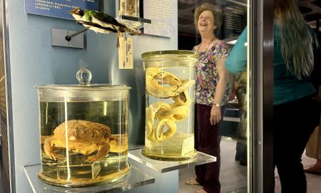 Wonder is in the mind of the beholder at Iziko South African Museum