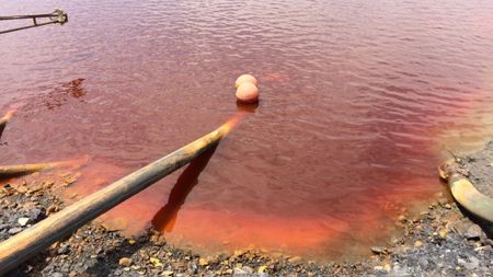 Wits for climate justice