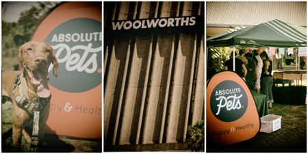 Woolworths trims dividend as Australasian operation weighs on results