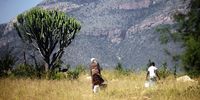A resident of GaMaja and her son carry buckets of water home after collecting it from a truck that arrives at the village once a week. Concern has been raised that many rural residents cannot adhere to the suggestion that they wash their hands regularly due to a shortage of water.<br>(Photo: Lucas Ledwaba / Mukurukuru Media)