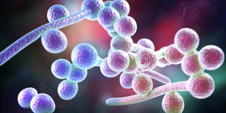 Fungal infections: The not-so-hidden health crisis threatening millions