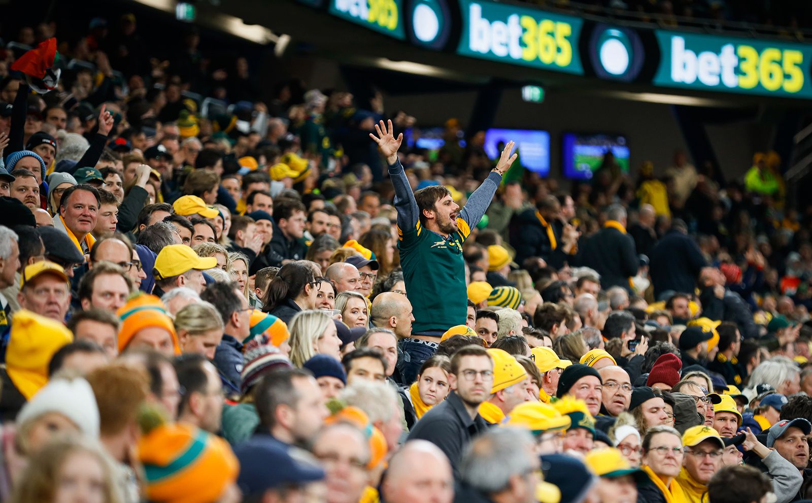 Springbok rugby’s rise has rewritten South Africa’s supporter landscape