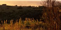 Sunrise Mkabati Nature Reserve. Photographer: Judith Gush