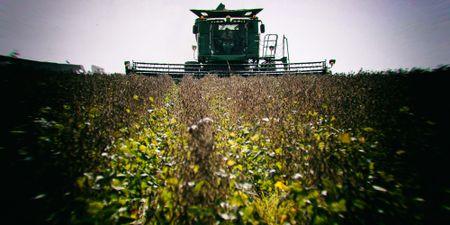 Farmers lose confidence amid more pain for SA’s agricultural sector