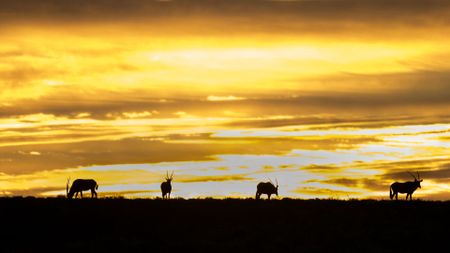 I have a picture for you! 19 July-25 July 2025