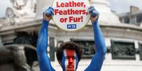 An activist with 'People for the Ethical Treatment of Animals (PETA)', holds a sign reading 'no leather, no feathers or fur' while participating in a protest against the use of animals in the fashion industry, at the Place de la Republique in Paris, France, 22 July 2024. Naked PETA activists with different nations' flags painted on their bodies gathered in Place de la Republique to draw attention to the routine mistreatment and exploitation of animals for fur, leather, and feathers ahead of the Paris 2024 Olympic Games.  EPA-EFE/MOHAMMED BADRA