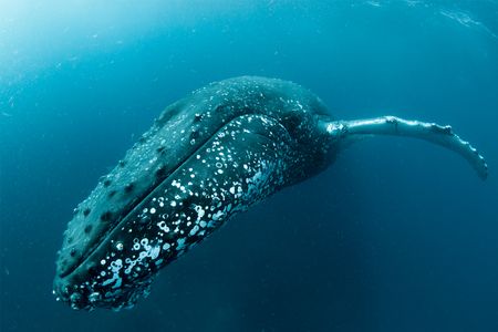 NGOs can't tell stories as agents for change while fighting for a shrinking funding pool