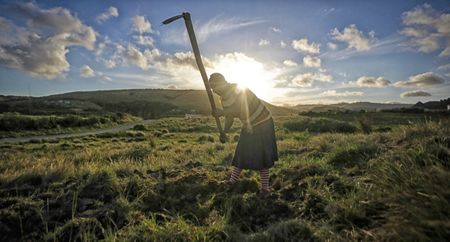 Vulnerable rural people at further risk as parliamentary committee adopts controversial Traditional Courts Bill