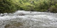 The unusually swollen Injisuthi river at the point where the path divides down three valleys: to Centenary Hut, Marble Baths and Battle Cave. Image: Mark Heywood