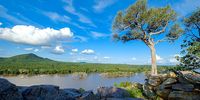 Dig first, find water later: Limpopo’s industrial insanity