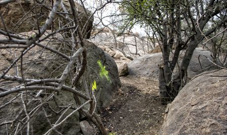 Six years on, there is no accountability for the elite police unit shootings at Marikana Scene 2