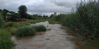 A swollen Klipspruit River following incessant rain in Johannesburg. Photo: Bheki Simelane