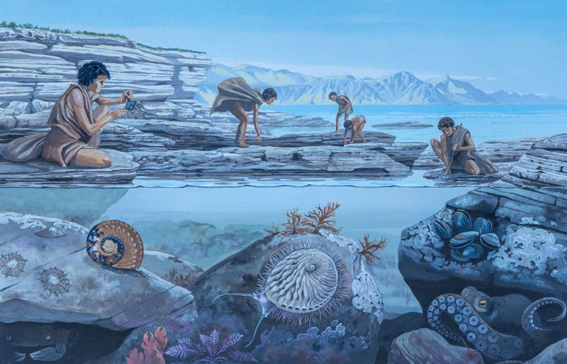 The great journey out of Africa may have begun at low tide 