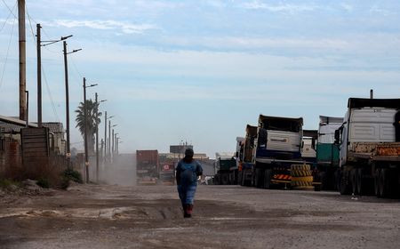 Nelson Mandela Bay business leaders — ‘manganese trade more damage than benefit’