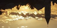 Sunrise in Green Point…. Hope for the Future… Image: Steve Chaimowitz