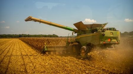 Cheaper to buy maize than grow it — SA grain farmers under the hammer