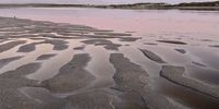 Stillness. Hermanus Lagoon edge.
